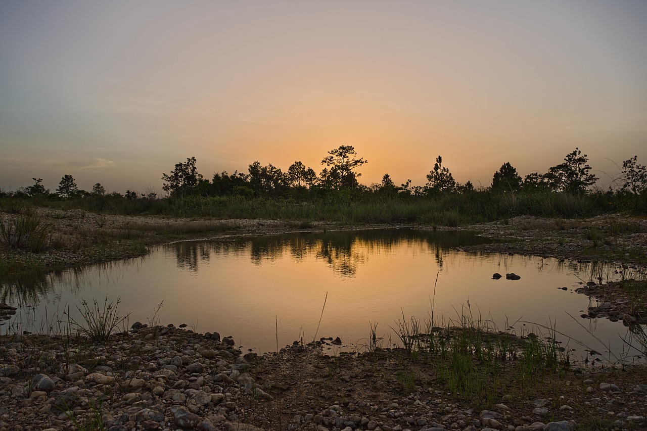 landscape  lake  water free photo