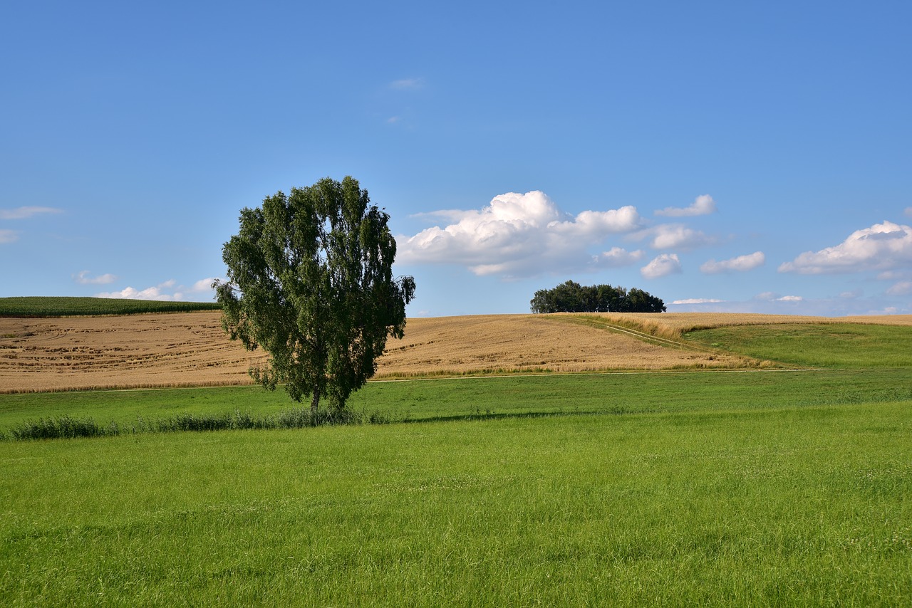 landscape  sky  clouds free photo