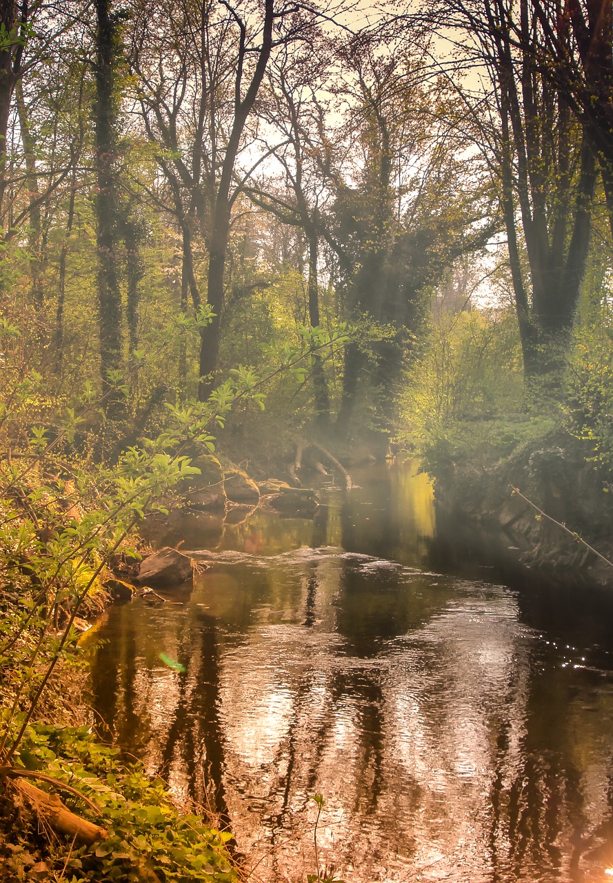 landscape  foggy  bach free photo