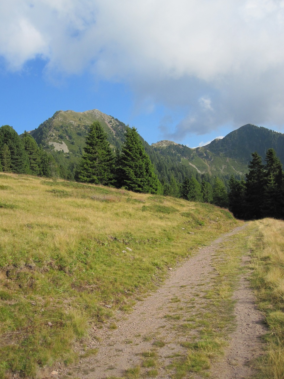 landscape summer mountain free photo