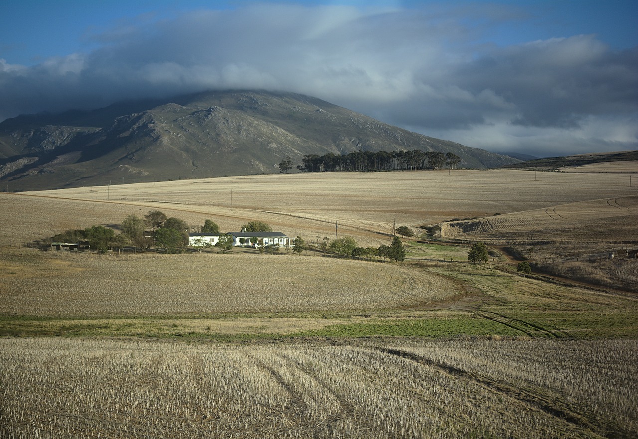 landscape  rural  south africa free photo