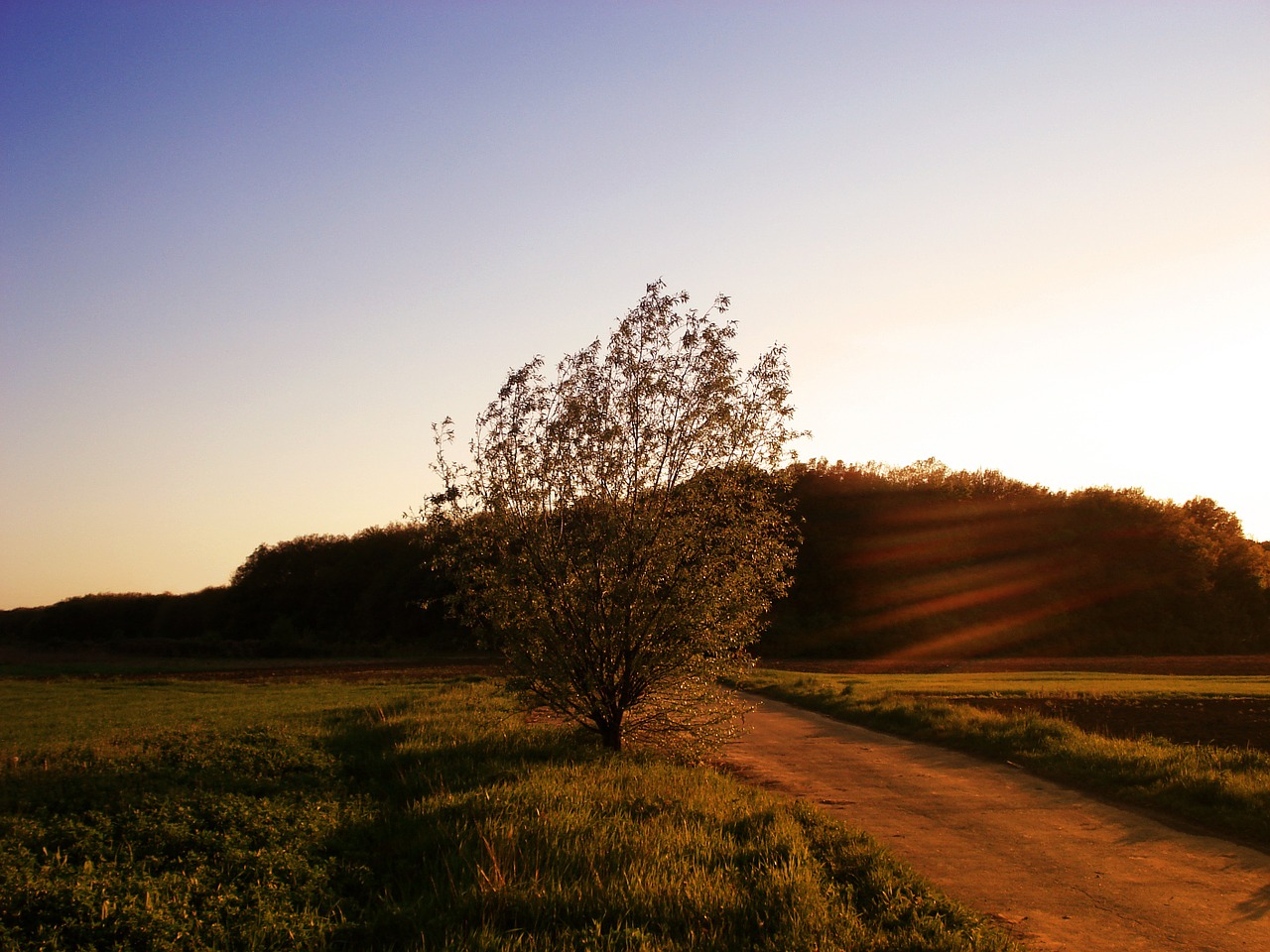 landscape nature sunset free photo