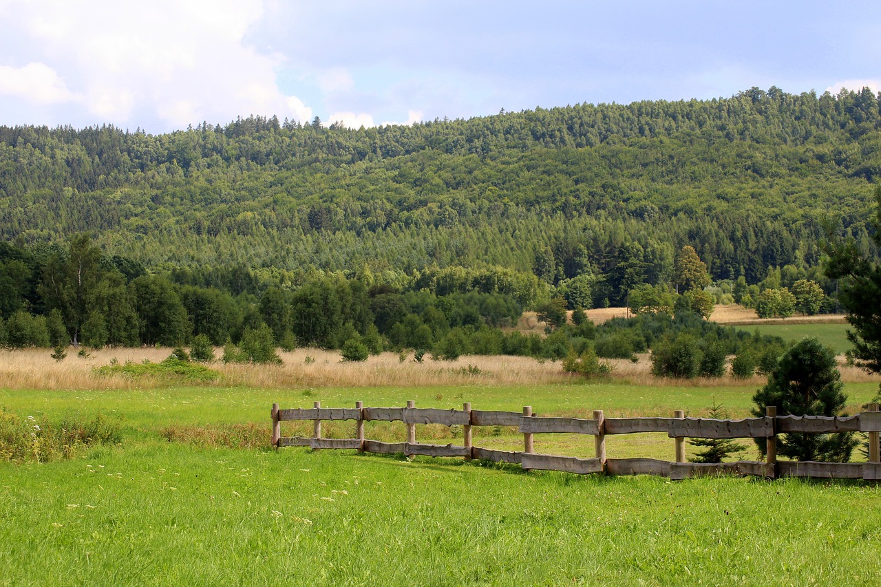 landscape  panorama  mountains free photo