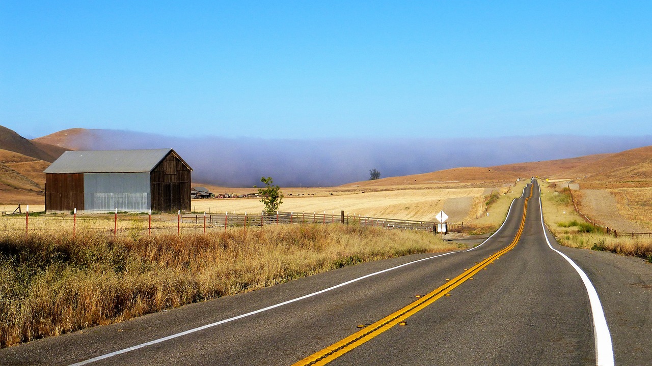 landscape  mist  nature free photo