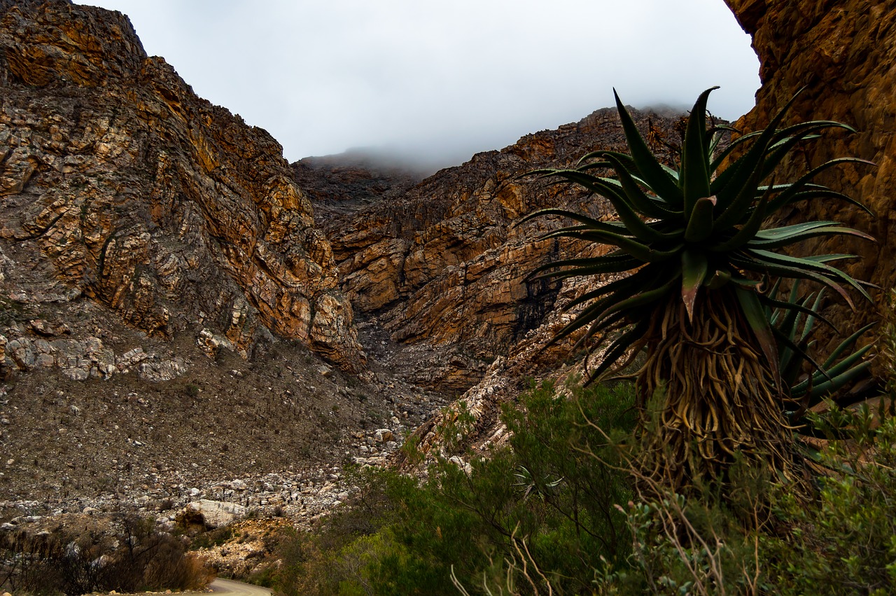 landscape  nature  mountains free photo