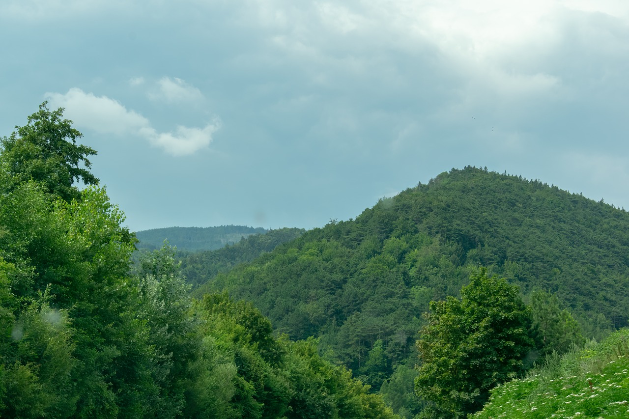 landscape  nature  sky free photo