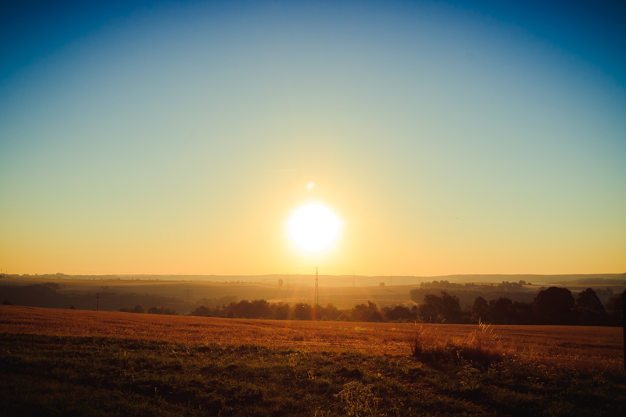 landscape  tree  sunrise free photo