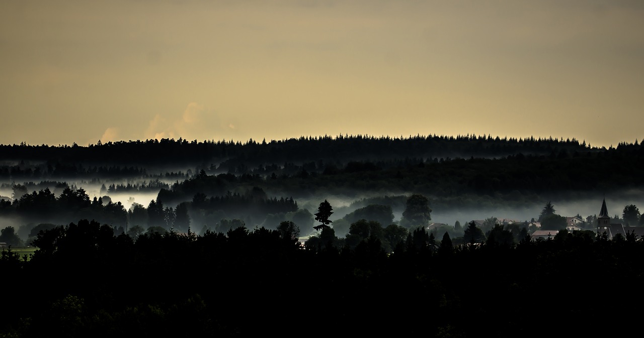 landscape  mist  nature free photo