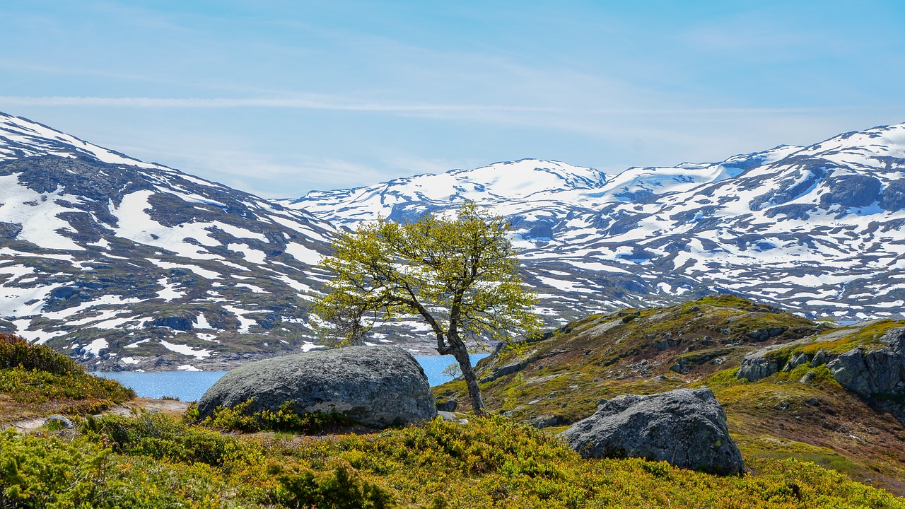 landscape  norway  fjord free photo