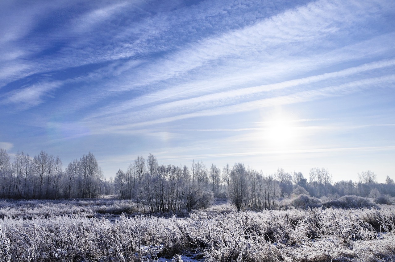 landscape  frost  winter free photo