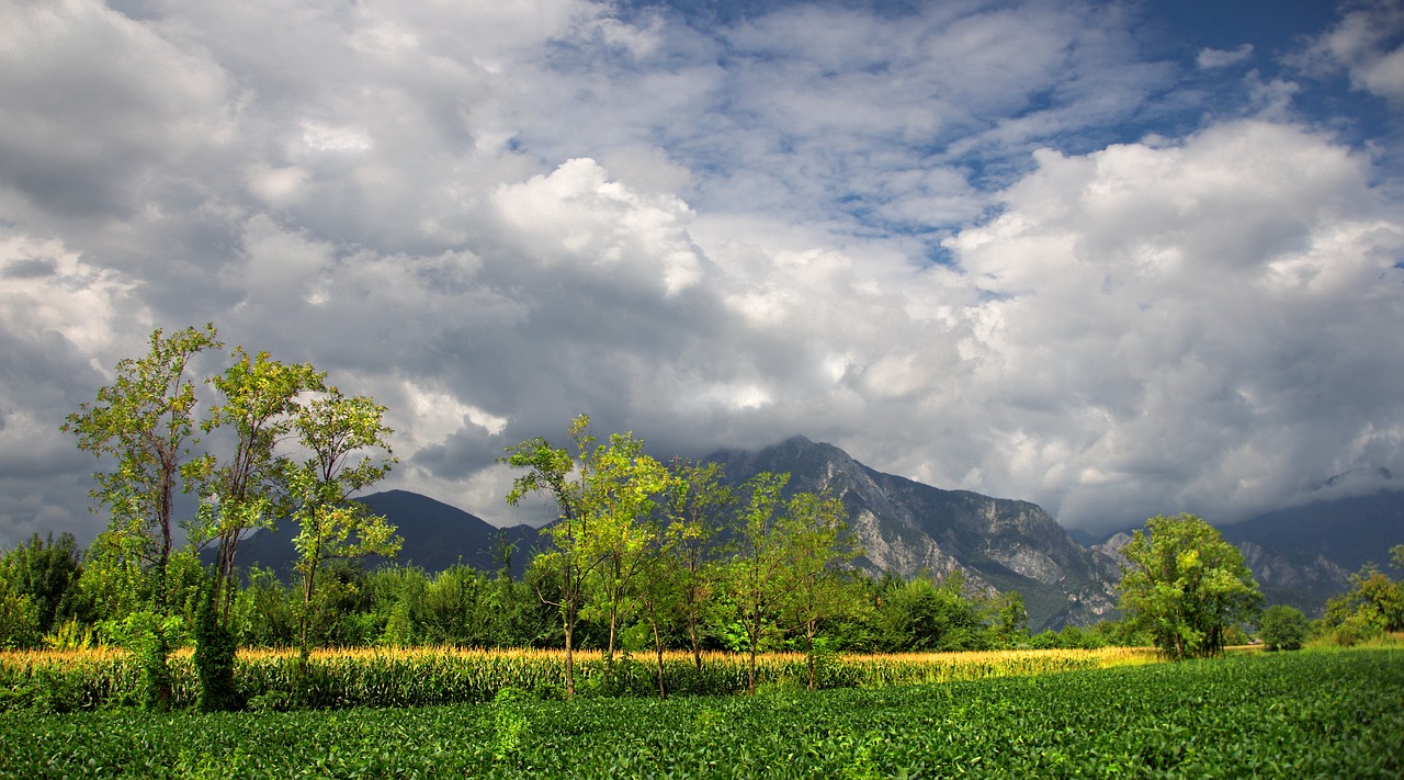 landscape  mountains  the alps free photo