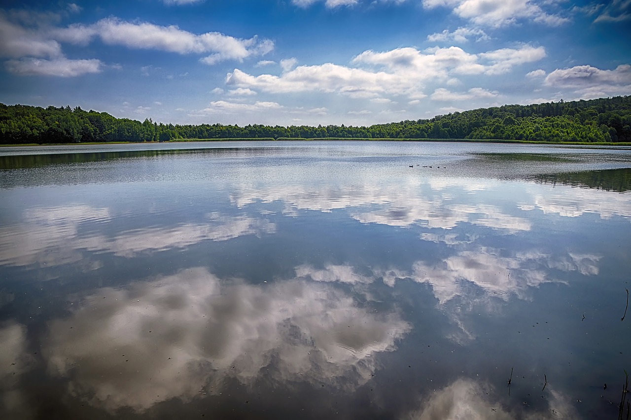 landscape  lake  nature free photo