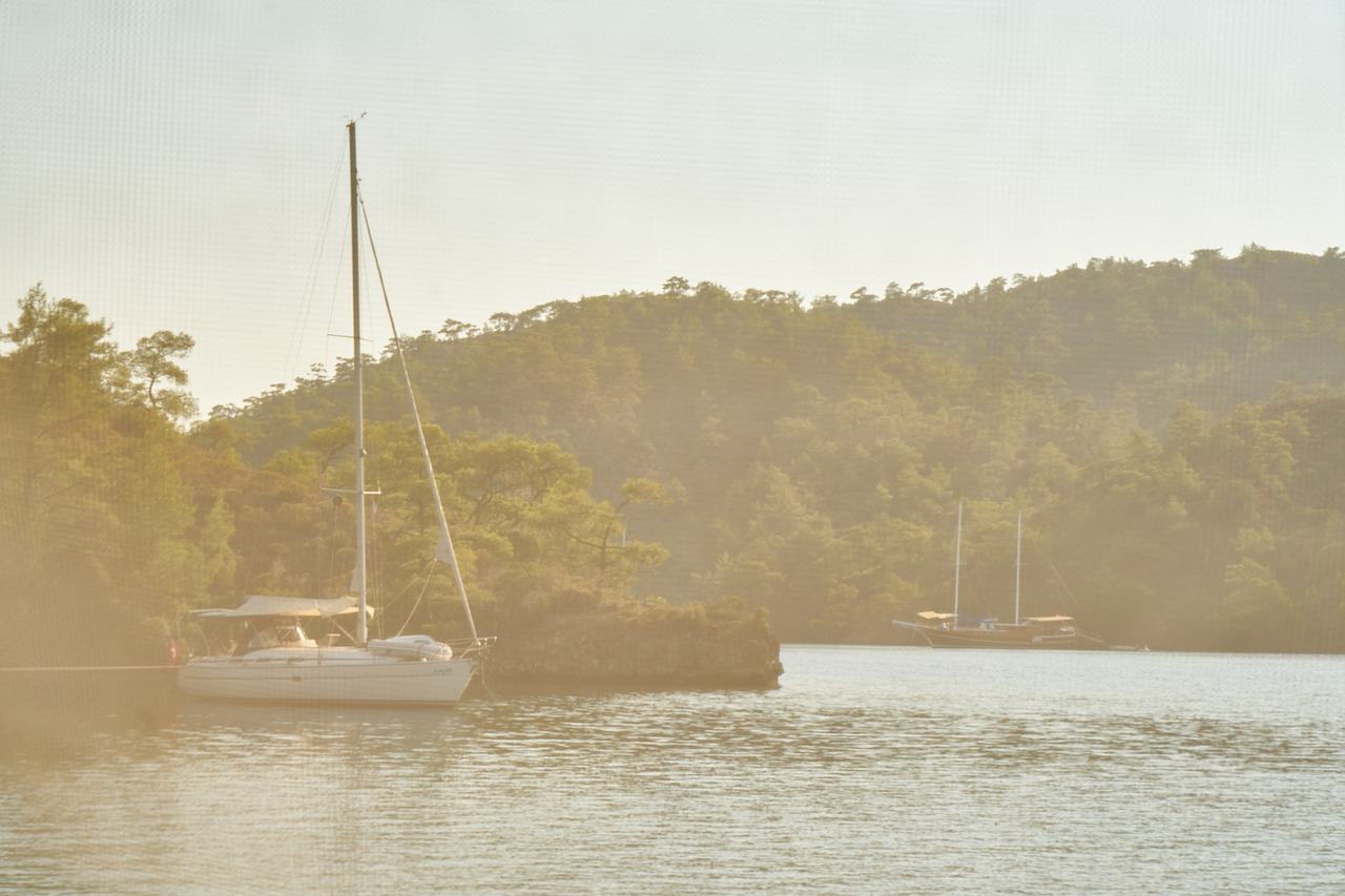 landscape  sailboat  misty free photo