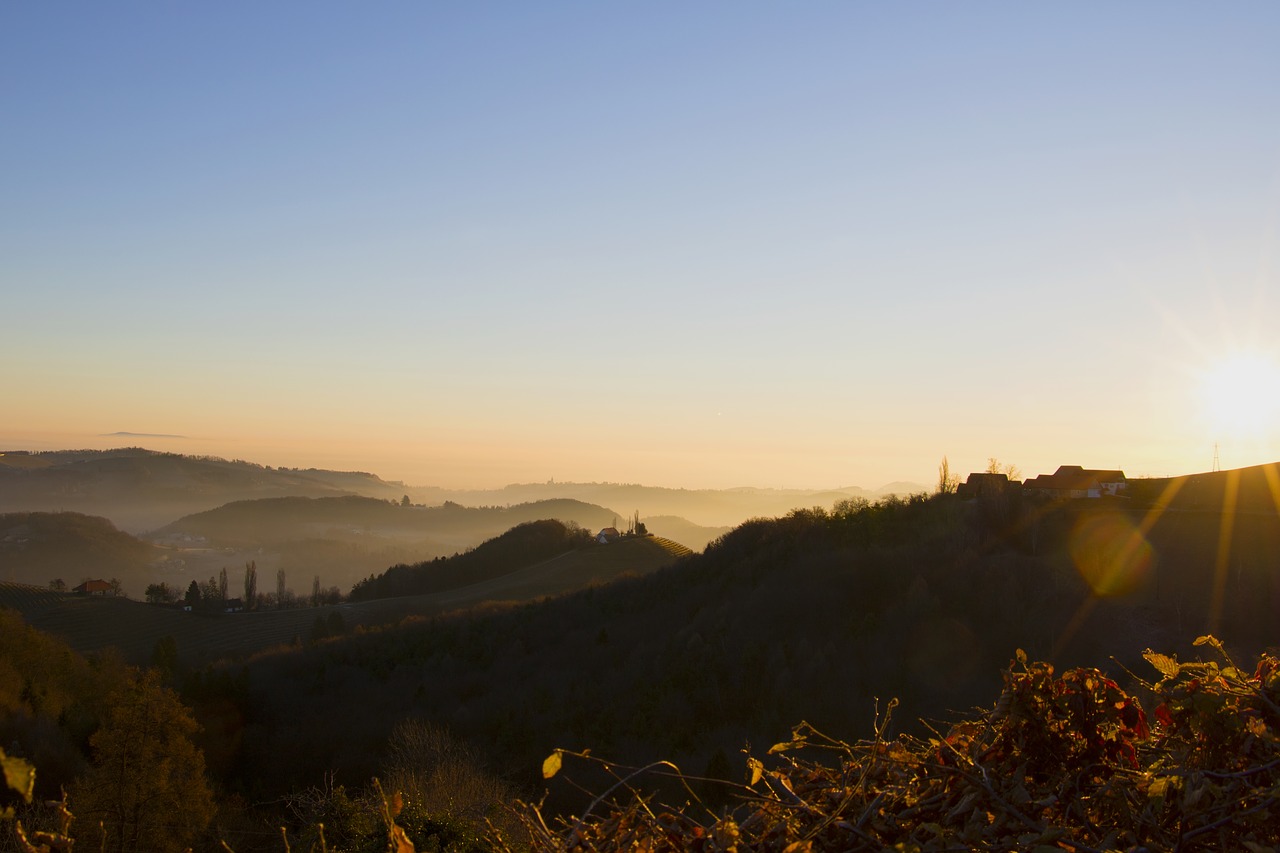 landscape  nature  forest free photo