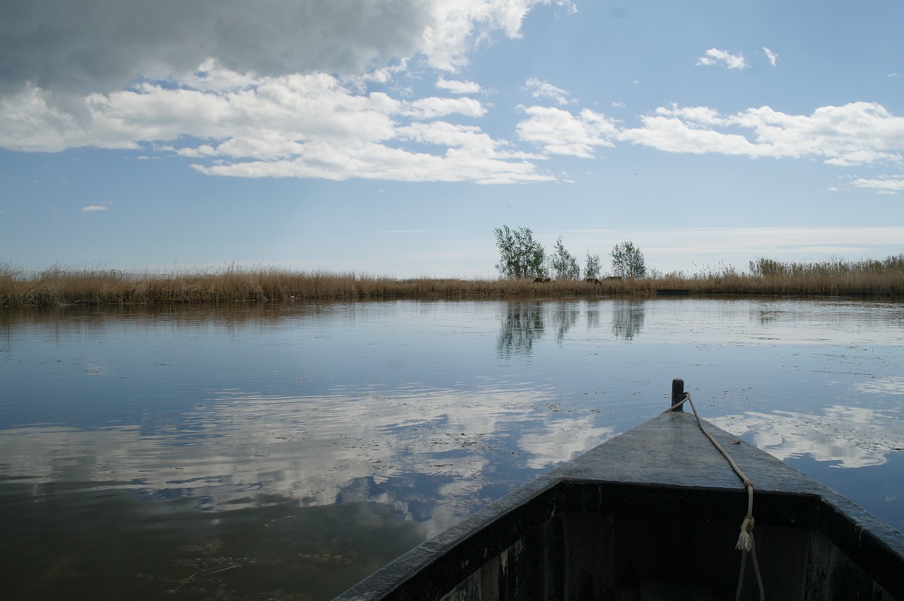 landscape  boat  canoe free photo