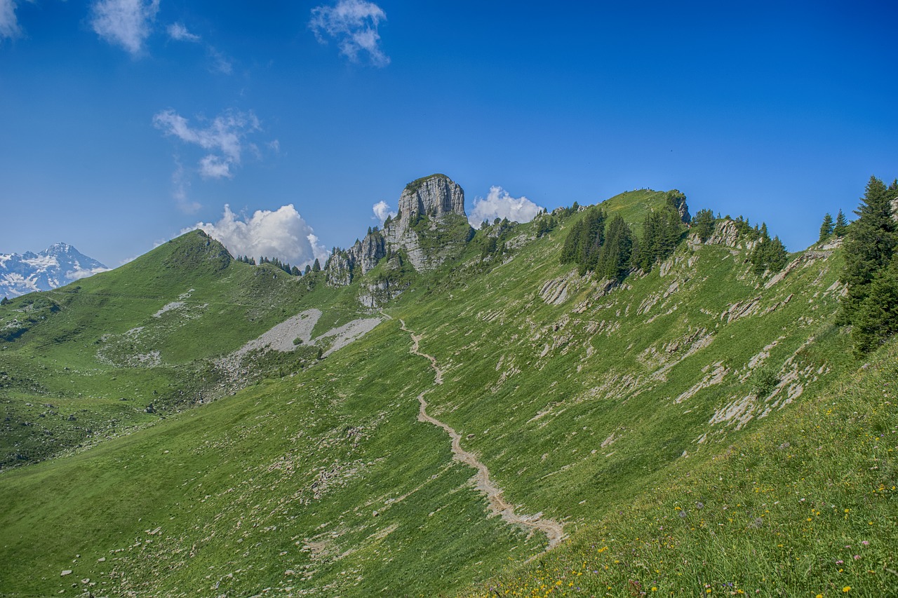 landscape  switzerland  mountains free photo