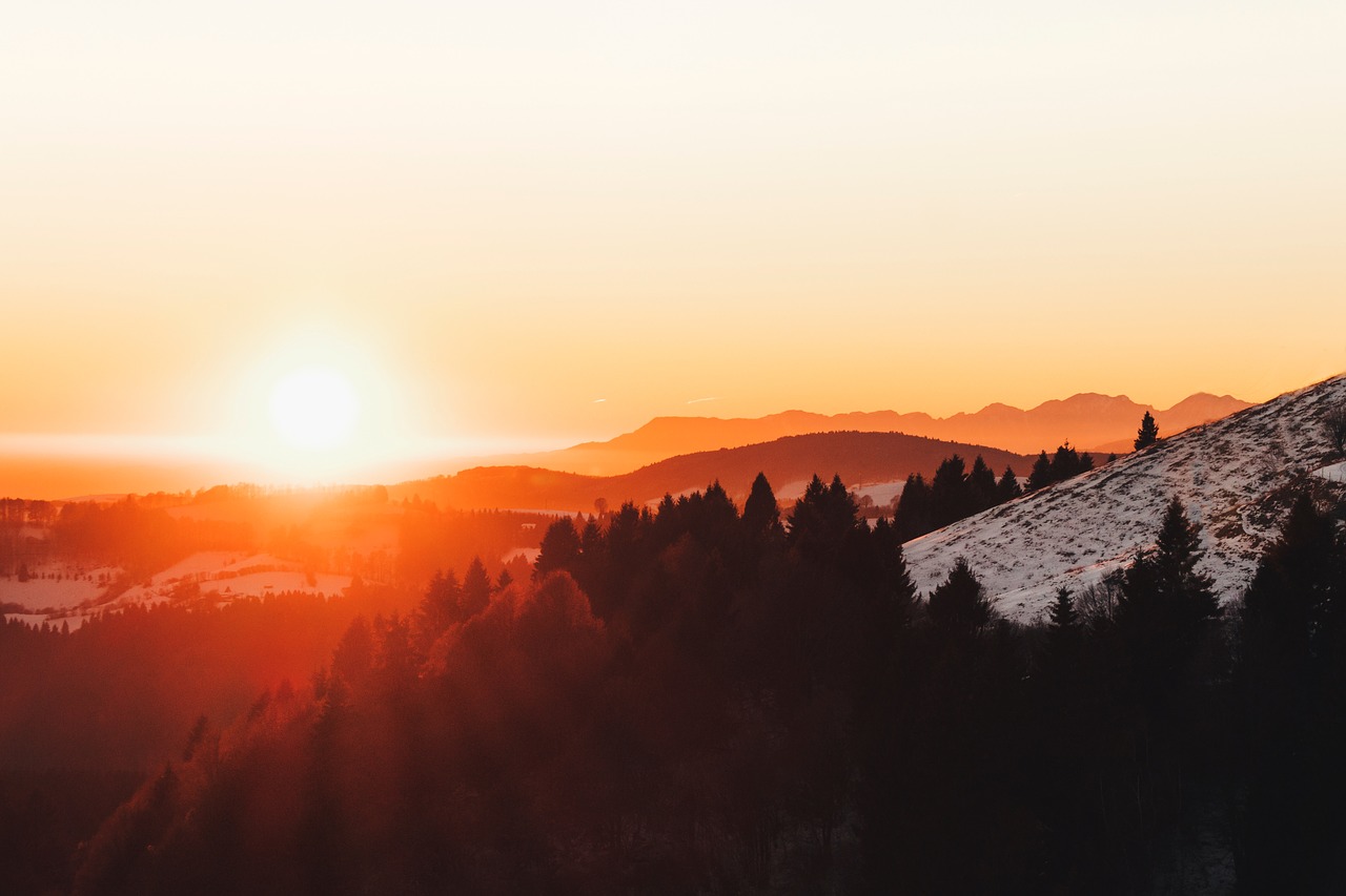 landscape  forest  sunset free photo