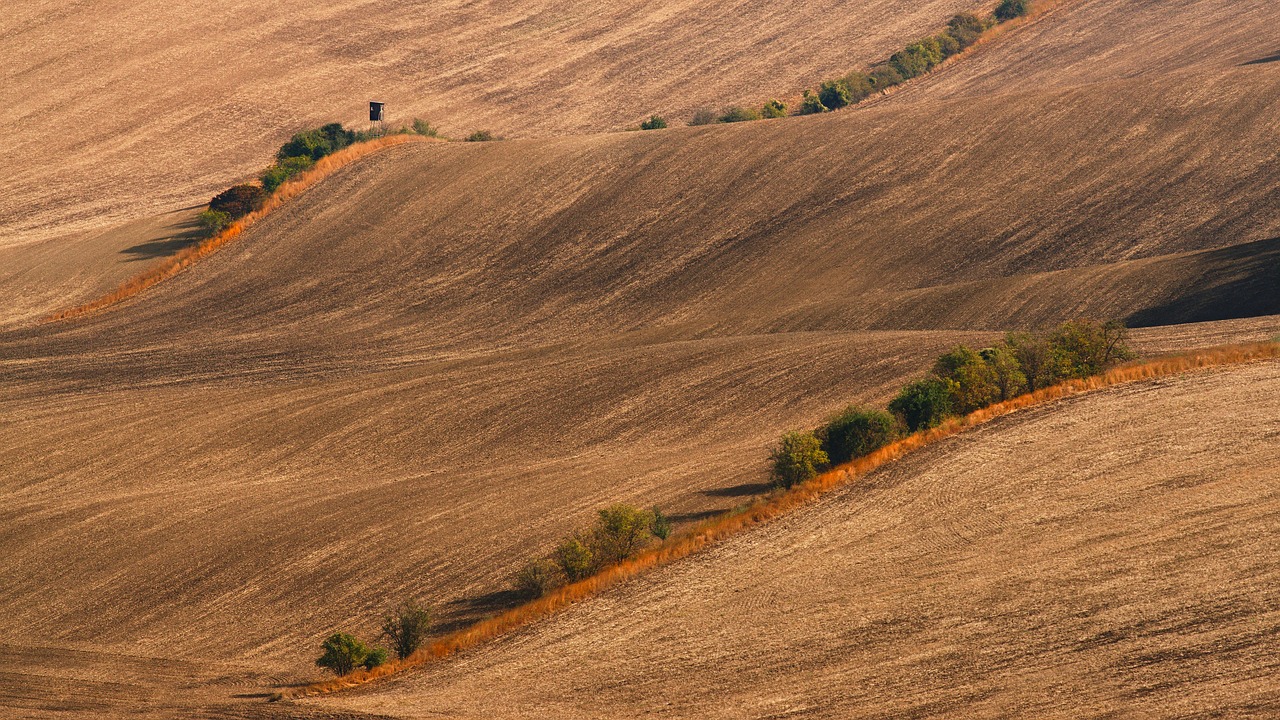 landscape  summer  bryony free photo