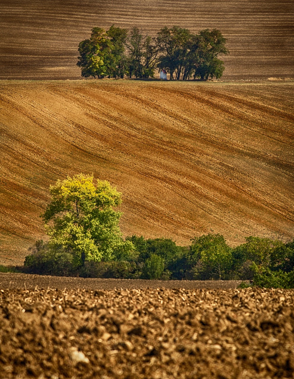 landscape  monument  trees free photo