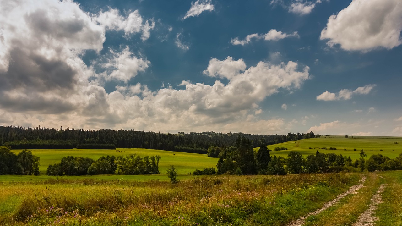 landscape  spisz  summer free photo