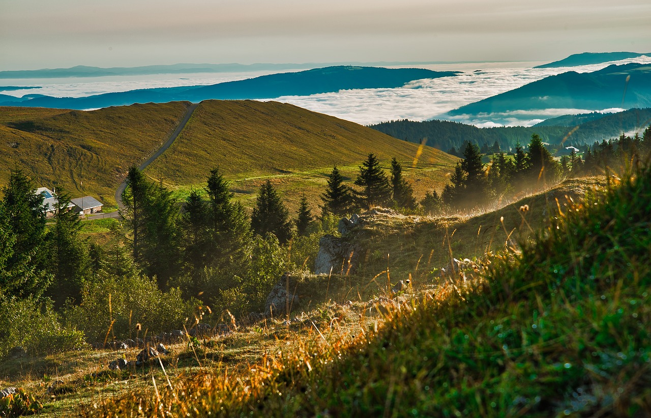 landscape  mountains  nature free photo