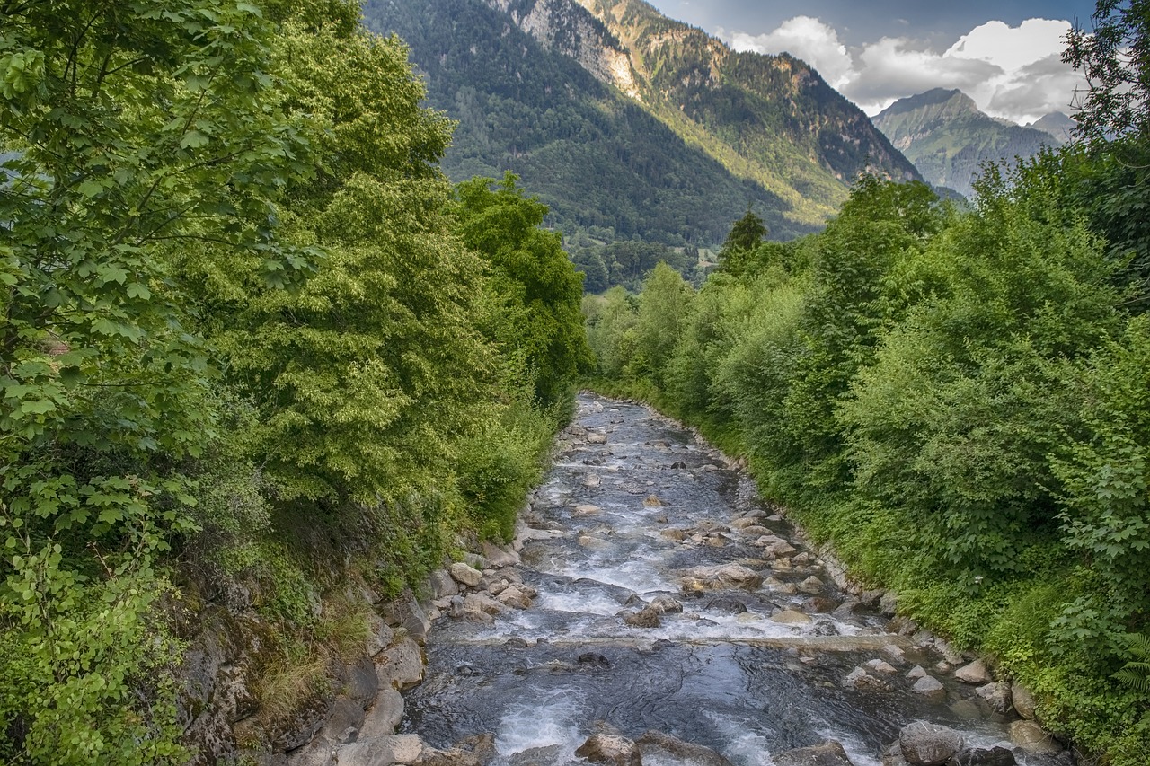 landscape  river  nature free photo