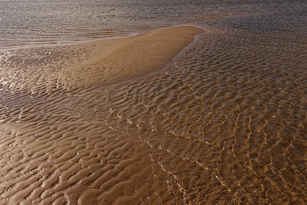 landscape  nature  north sea free photo