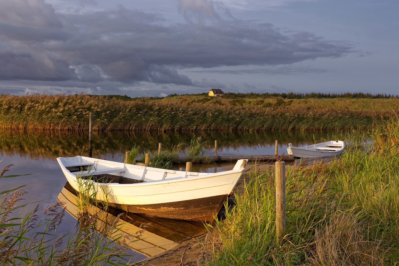 landscape  nature  mood free photo