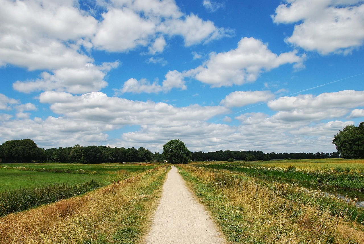 landscape  summer  nature free photo