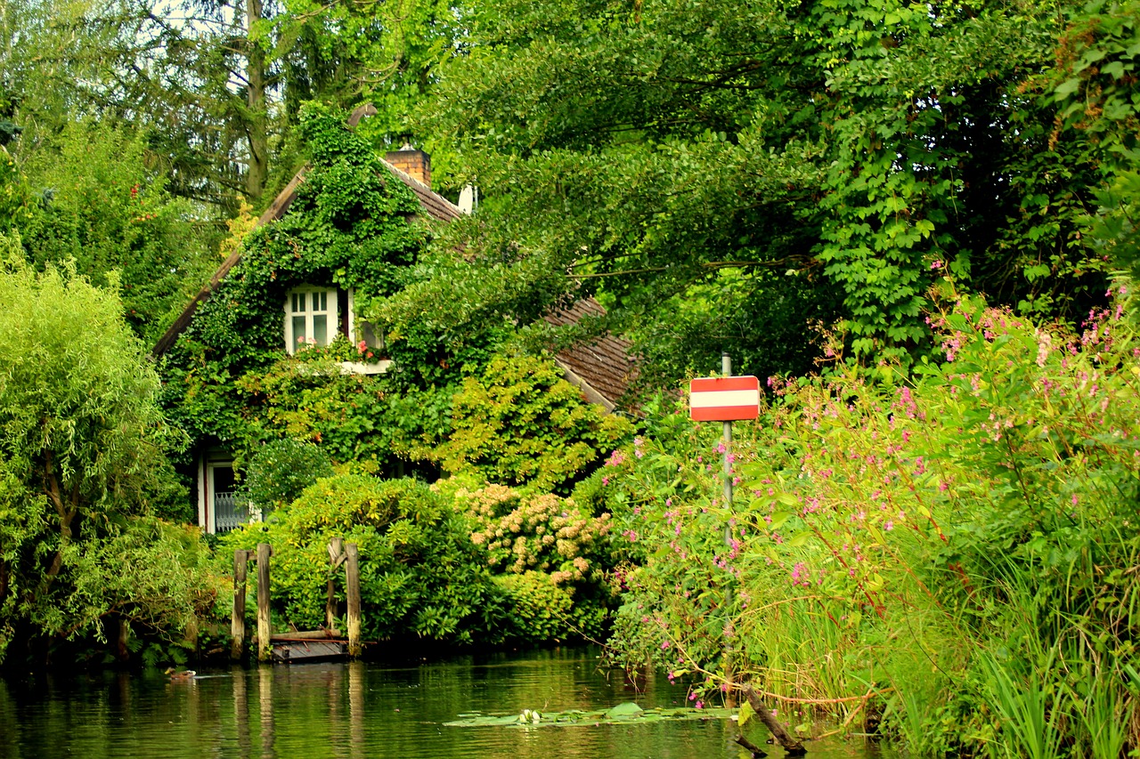 landscape  green  river free photo