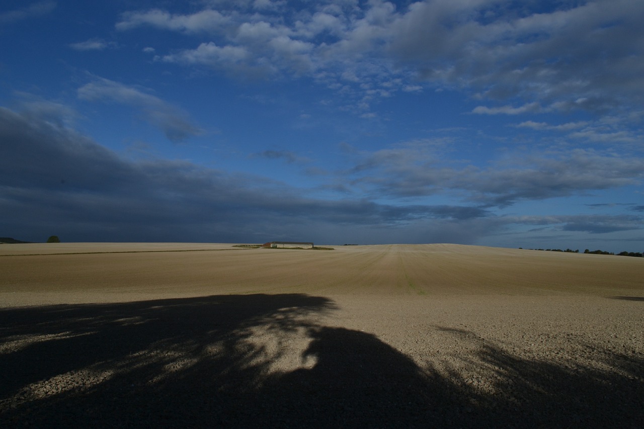 landscape early morning rural free photo