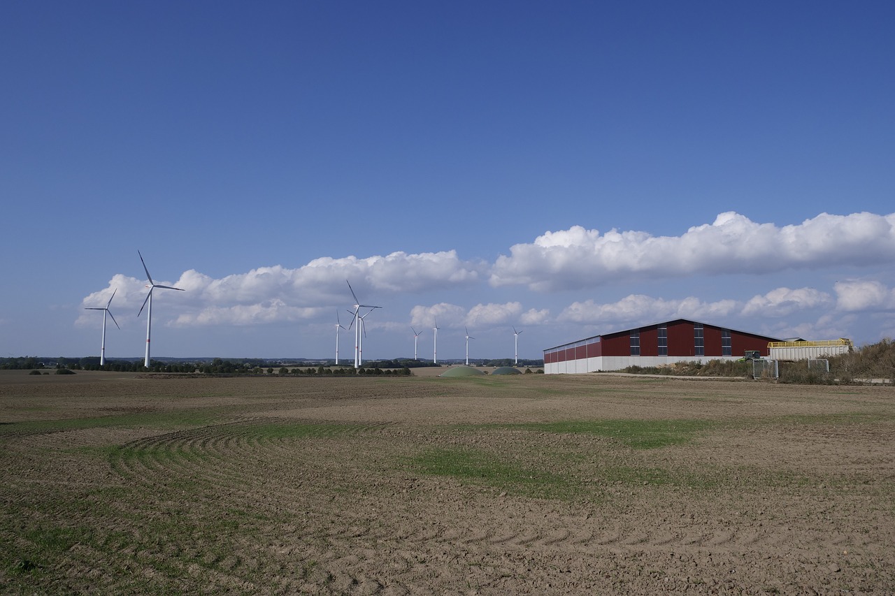 landscape  nature  clouds free photo