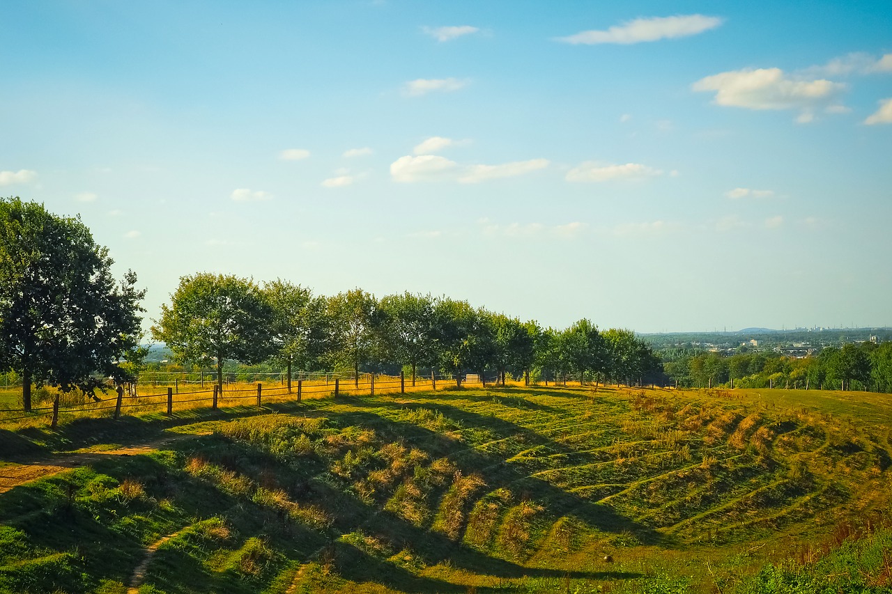 landscape  hill  nature free photo