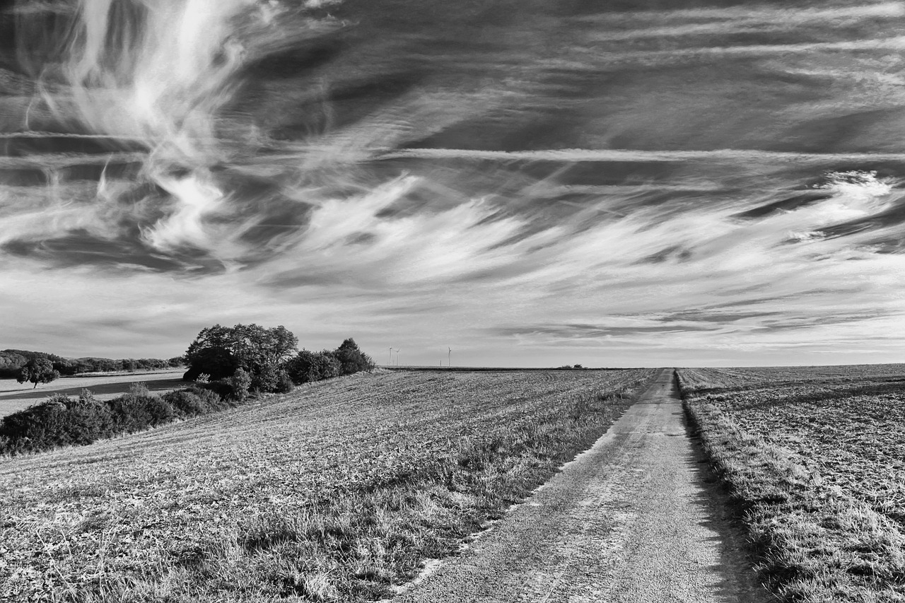 landscape  black white  sky free photo