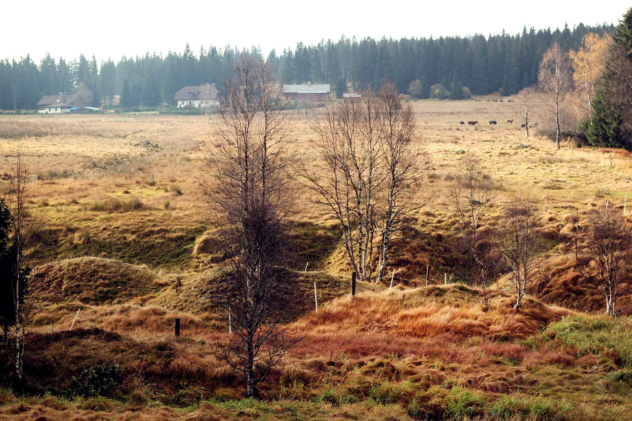 landscape  šumava  nature free photo