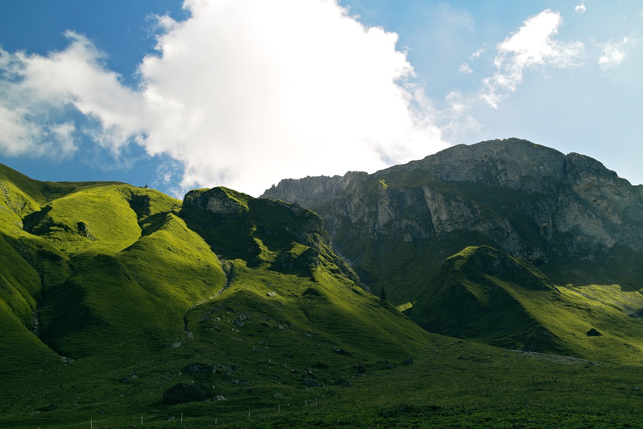 landscape  nature  hiking free photo