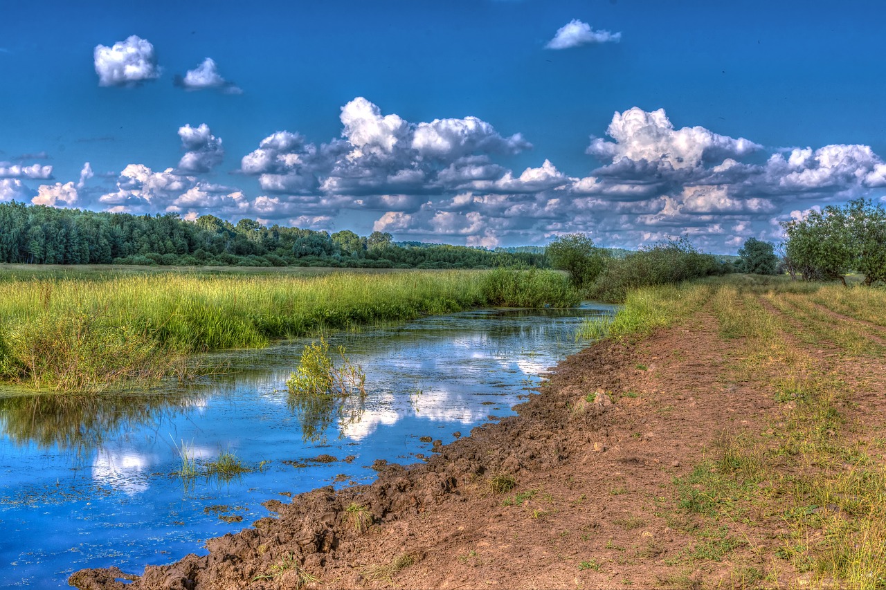 landscape  nature  clouds free photo