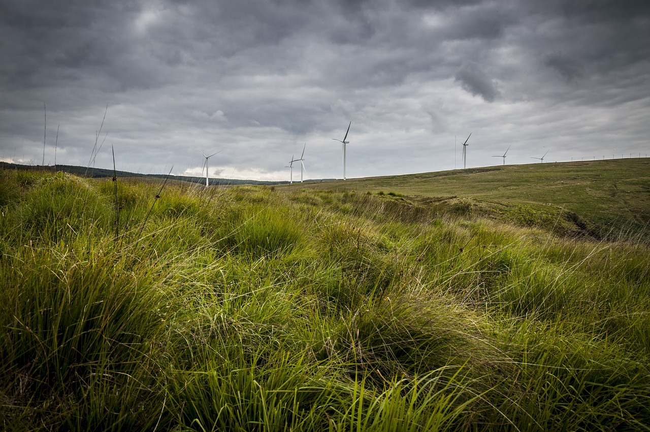 landscape  wind farm  wind turbine free photo