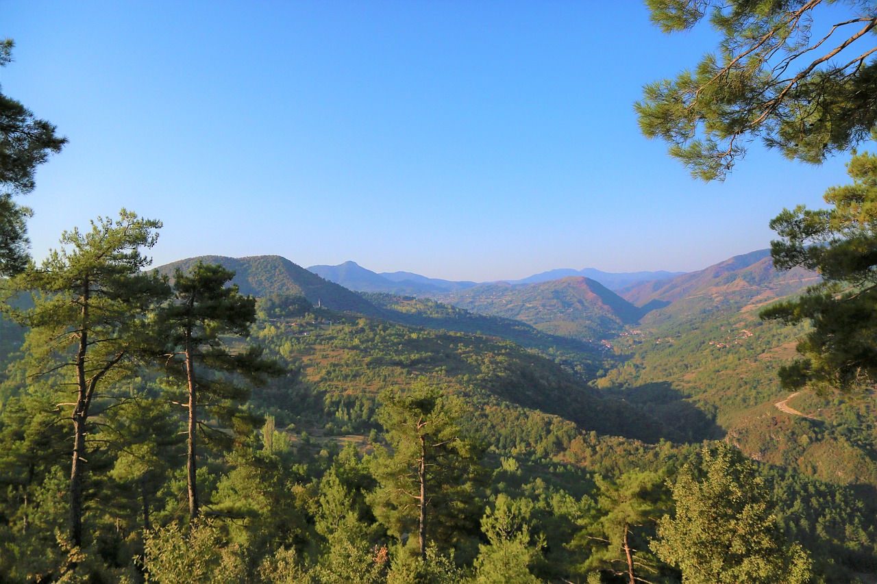 landscape  nature  tree free photo