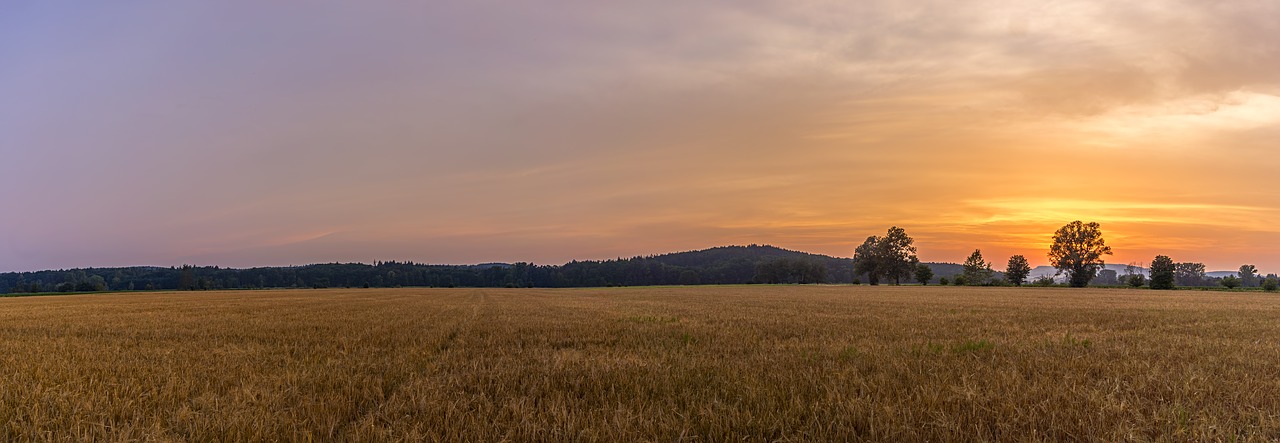 landscape  nature  summer free photo