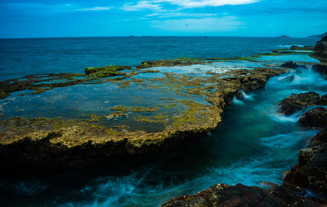 landscape  sea  the sea free photo