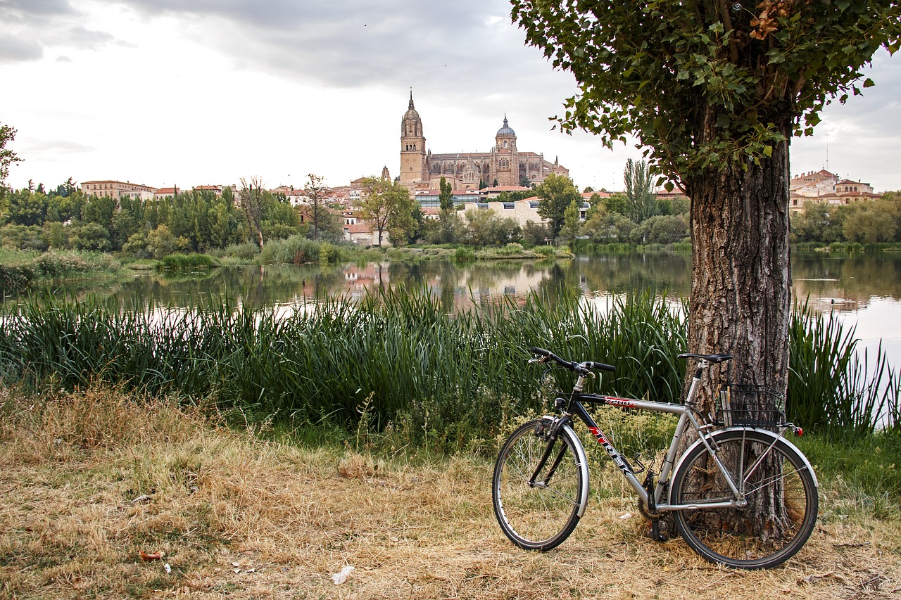 River bike. Велосипед на речке. Велосипед в деревне. Велосипед в дереве. Велосипед River Bike.