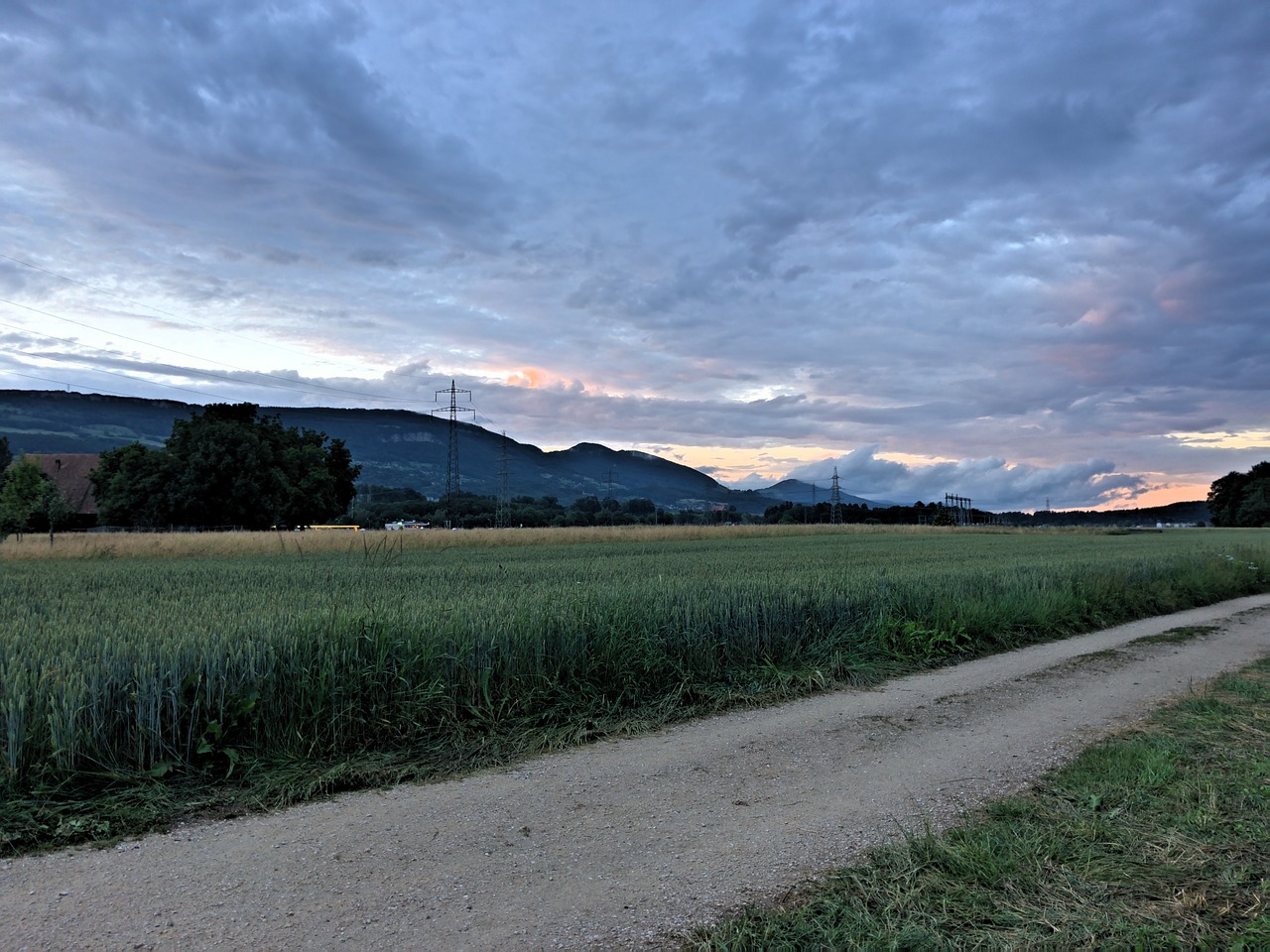 landscape  mood  road free photo