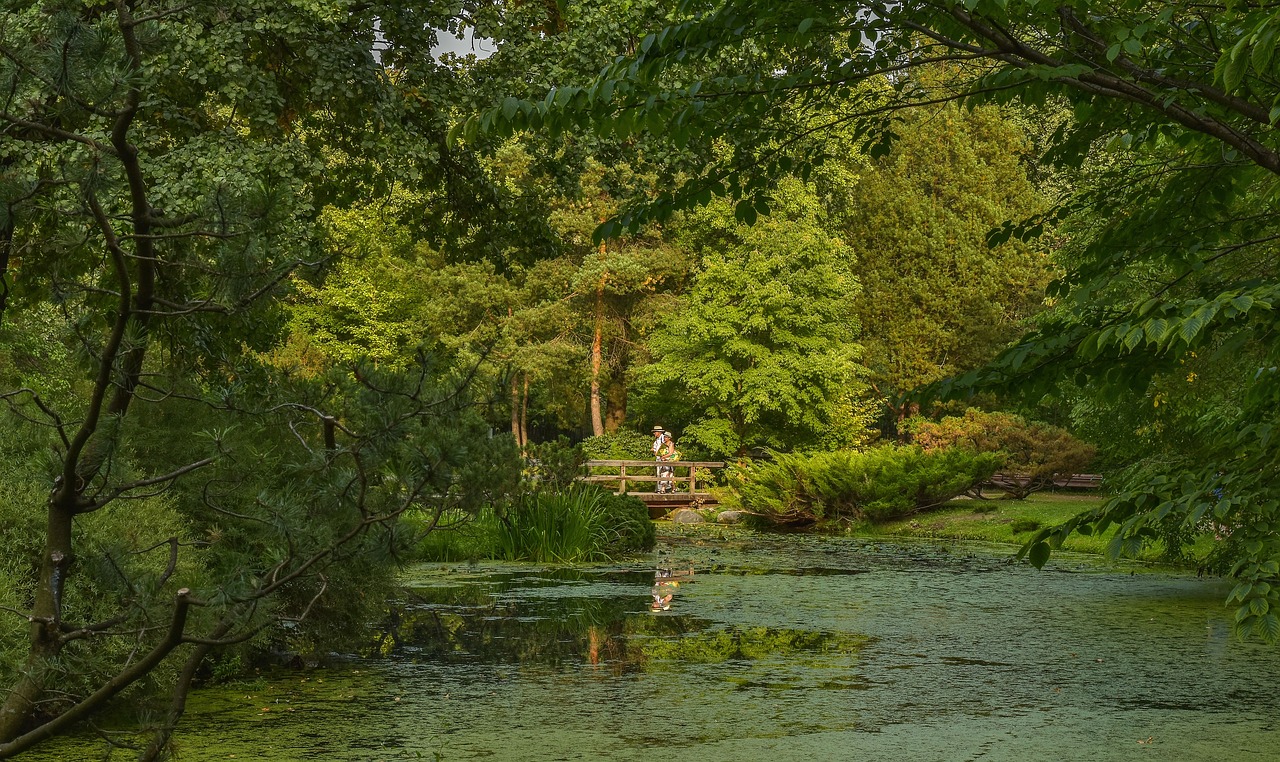 landscape  bridge  nature free photo