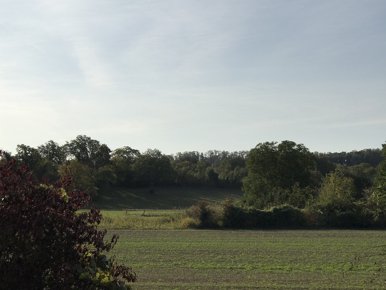 landscape  nature  green free photo