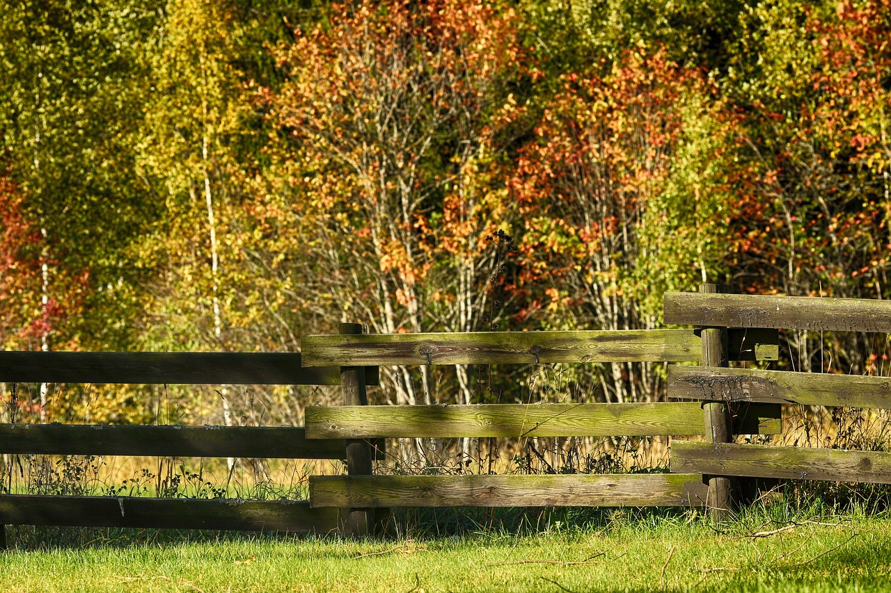 landscape  nature  autumn free photo