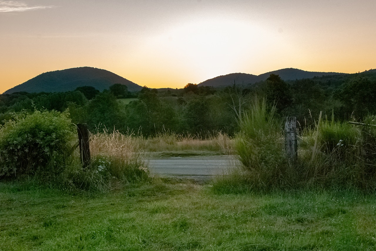 landscape  field  hills free photo