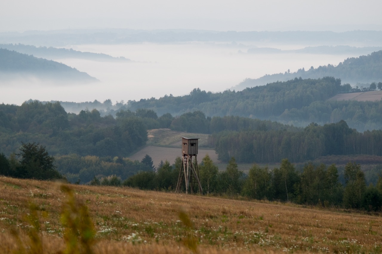 landscape  poland  nature free photo