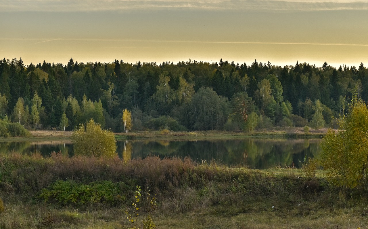 landscape  nature  autumn free photo