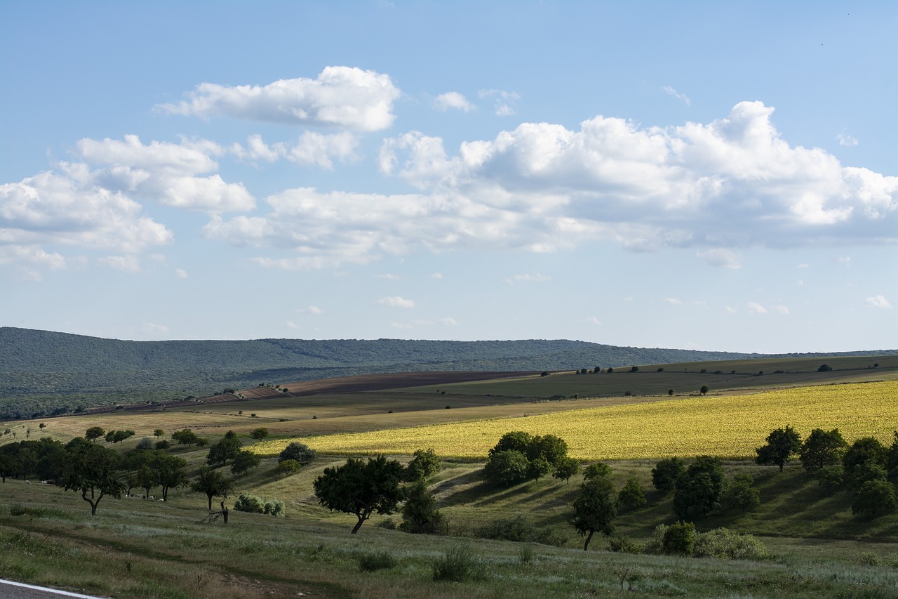 landscape  nature  cloud free photo